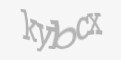 Защитный код